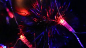 Корпоратив, новый год. Canon 700D photo&video low light