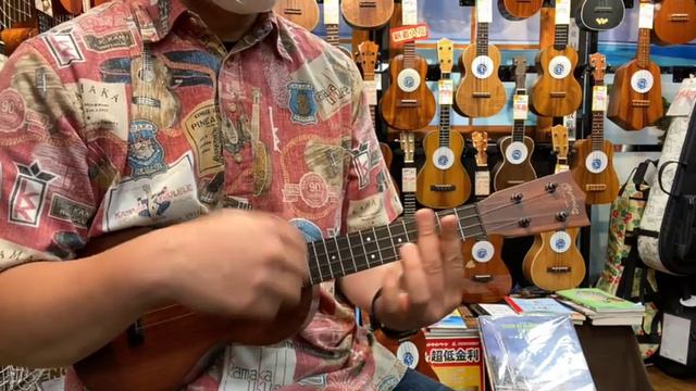 Martin Concert Uke FSC 2493066   試奏動画