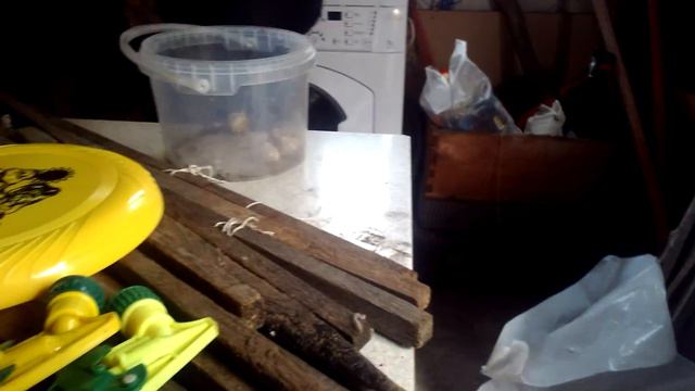 На даче Часть 1 смотреть онлайн