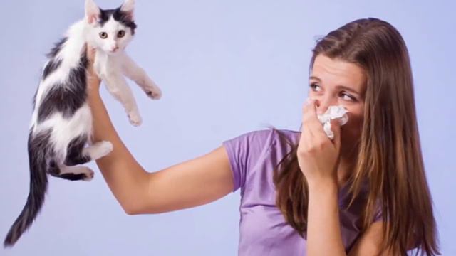 5 Гибридов Человека с Животными смотреть онлайн