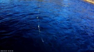 Хариус и ленок ловится в деревне. Хороший клев, красивые места. Иркутская область река Тутура