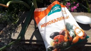 И репчатому  луку монофосфат калия в обязательном порядке.!!!
