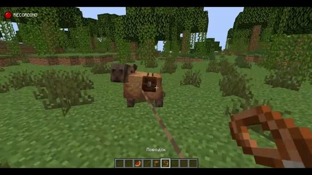 Мод на капибару и многое другое. смотреть онлайн