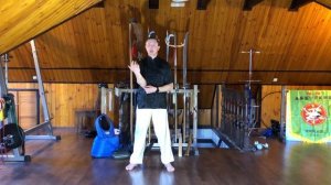 Урок 117 продолжаем узнавать "секреты" в кунг фу, скоростной блок