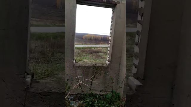 Магазин из стеклянных бутылок Белгородская область необычные посторойки house of broken bottles смотреть онлайн