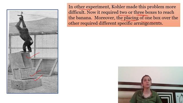 Insight Learning Theory by Kohler | B.Ed. | M.Ed. | UGC NET Education | Inculcate Learning | Ravina