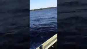 Казанка с булями под мотором Ниссан 9.8 л/с.