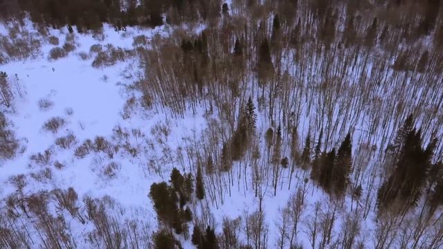 Озеро Келейное / Footage by DJI Mavic Mini  / 1080p 60fps