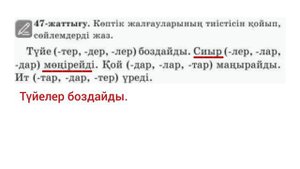 2-сынып Қазақ тілі 95-сабақ Зат есімнің жекеше және көпше түрі 45-48 жаттығу