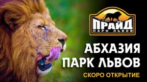 АБХАЗИЯ Такого мы еще не видели!!! Парк львов «Прайд»