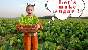Английский для детей. Учим названия продуктов на английском!