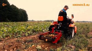 Обзор: Мини-трактор Кентавр Т-15 (Toyokawa) с картофелекопалкой в работе