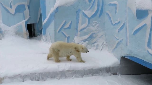 Герда после завтрака 15.02.2021 смотреть онлайн