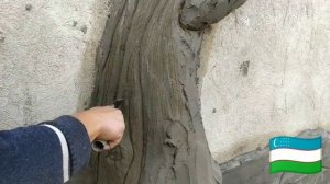 как сделать дерево торчащий из стены из арт бетона.