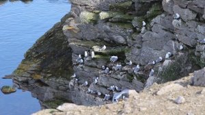 100 лет заповедной системе России