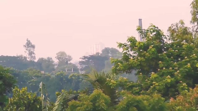 Nikon Coolpix b500 Zoom Test 2022 #nikonb500 смотреть онлайн