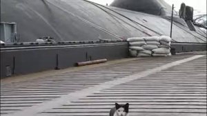 САМАЯ БОЛЬШАЯ ПОДВОДНАЯ ЛОДКА В МИРЕ,А К У Л А(ТАЙФУН) .