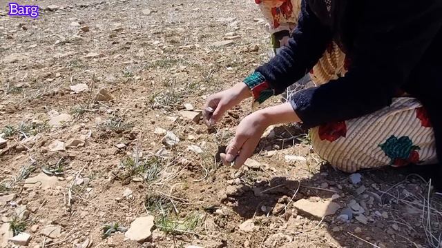 Nomadic Life: Buying shoes for little girl Zari and little Shiva's happiness смотреть онлайн