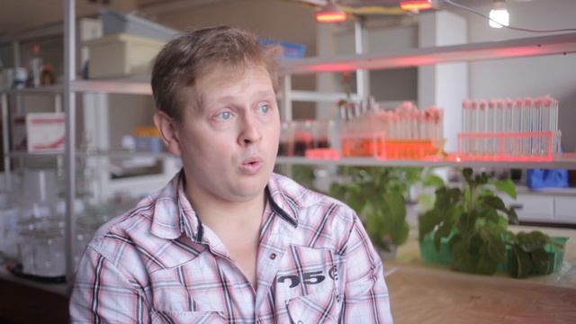 Исследования куркумы в БГУ: лечебные свойства смотреть онлайн