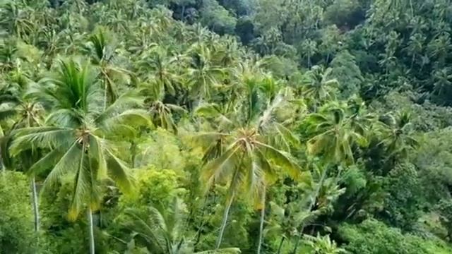 Bali 4K music relax -Бали 4К музыка #2023