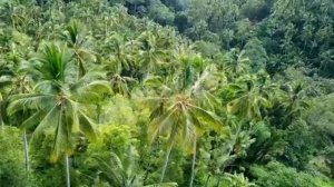 Bali 4K music relax -Бали 4К музыка #2023