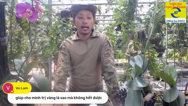 Cách trồng chăm sóc hoa lan hồ điệp tốt ra hoa смотреть онлайн