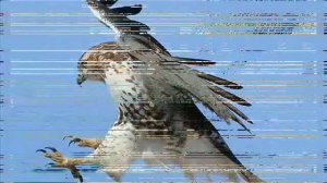 Максим Горький, песня о соколе