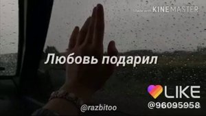 Караоке ветер шумит