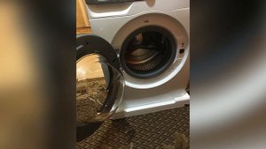 Стиральная машина Samsung WW70A6S23AE (WW70A6S23AT, WW70A6S23AW)