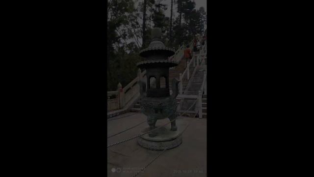 Приключения в Гонконге, День 4 смотреть онлайн