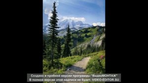 Петлюра Открылась дверь