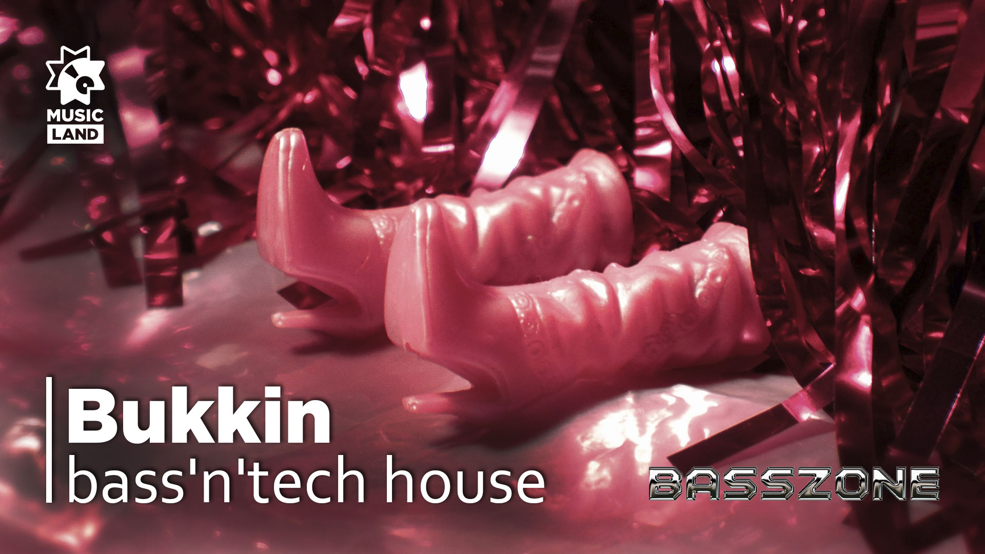 Bukkin | bass'n'tech house | Party by BassZone | @GorkiyBar 15.04.23