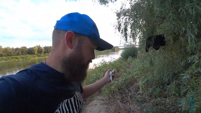 Как я жил в палатке с кошками 30 дней в Казахстане. всё только начинается .. #захватывающийжизнь