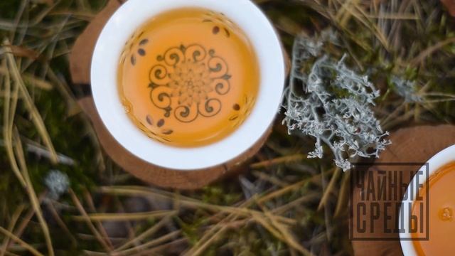 Пьём чай в Полесье смотреть онлайн