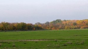 Село бено-юрт Чече́нская респу́блика, надтеречный район