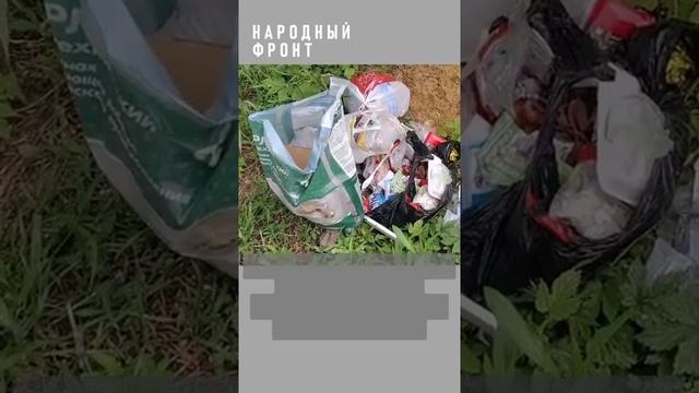 Жителям воронежской улицы Коперника приходится заниматься саинством.mp4