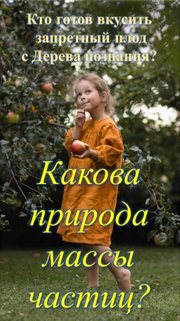 Какова природа массы элементарных частиц?