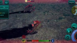 Пвп за стегу против стеги,стерако в the cursed isle