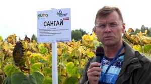 9 ноября 2023 г.