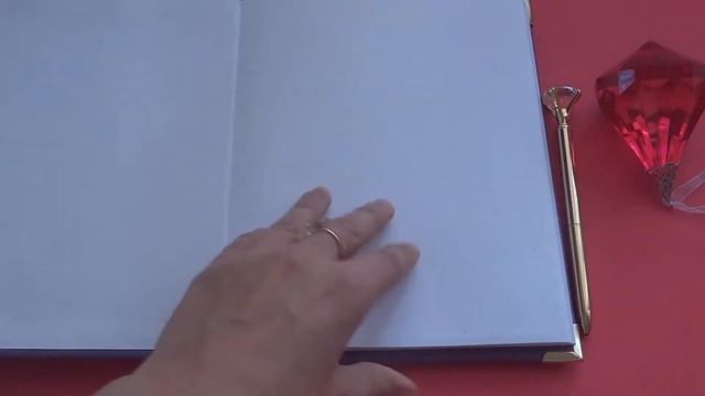 Блокнот своими руками из страусиной кожи смотреть онлайн