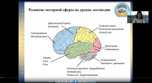 Развитие моторного планирования на логопедических занятиях