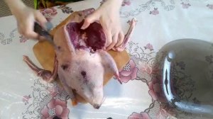 Когда внезапно увидел гусей?? И один из способов разделки дикого гуся