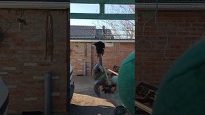 как быстро разделать фазана правильно, по пацански?