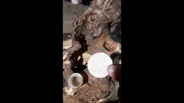 Своими руками из дерева, делаем предметы интерьера. смотреть онлайн