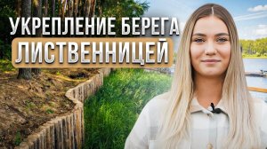 Укрепление берега лиственницей и понтонный пирс.