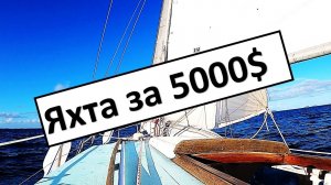 Яхта за 5000$ в Новой Зеландии