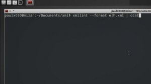 Using the xmllint command to pretty print an XML file