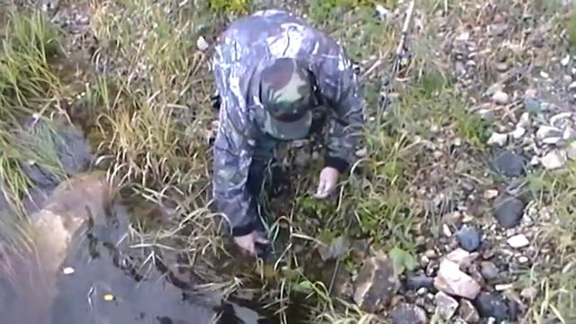 Трофейная рыбалка