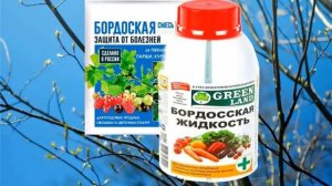 Чем обработать яблони весной от болезней и вредителей