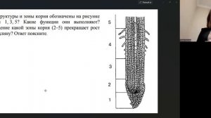 Задание про зоны корня из досрочного экзамена по биологии 2022